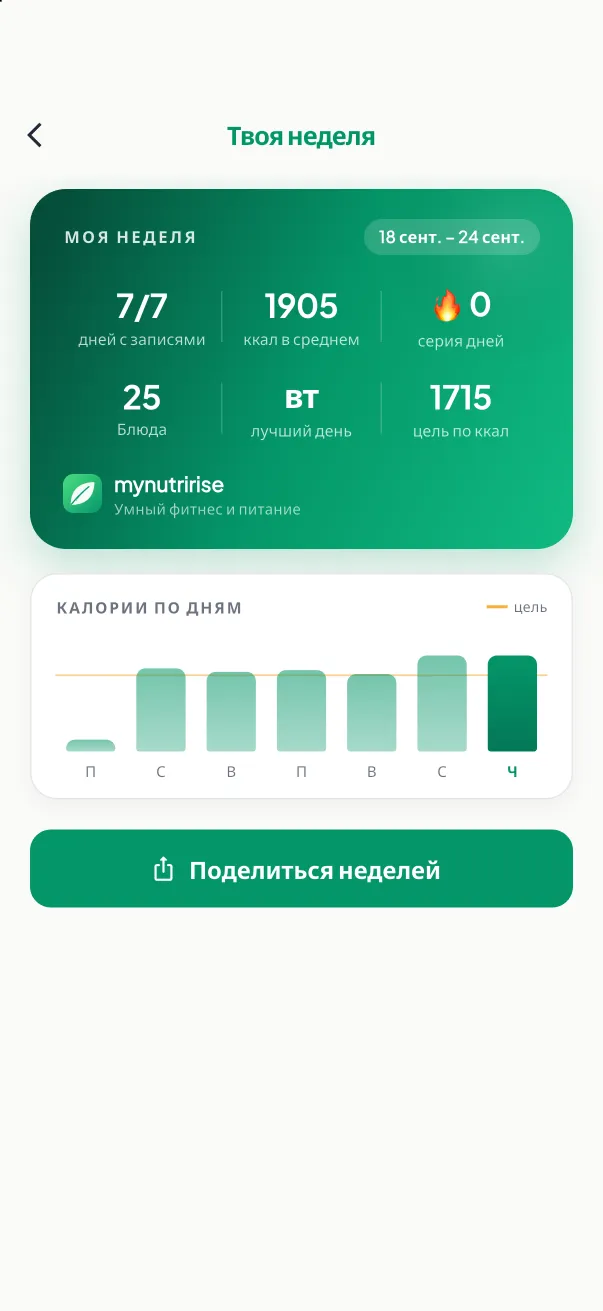 Недельный отчёт